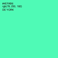 #4EFAB6 - De York Color Image