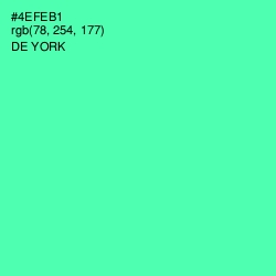 #4EFEB1 - De York Color Image