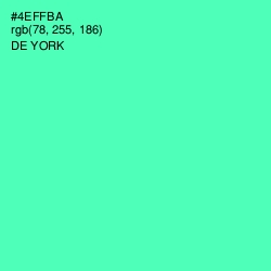 #4EFFBA - De York Color Image