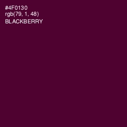 #4F0130 - Blackberry Color Image