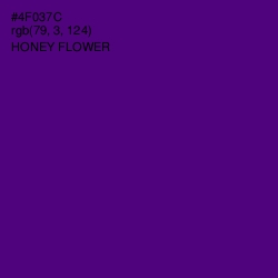 #4F037C - Honey Flower Color Image