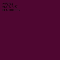 #4F0732 - Blackberry Color Image