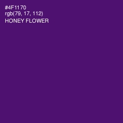 #4F1170 - Honey Flower Color Image