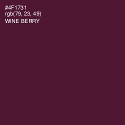 #4F1731 - Wine Berry Color Image