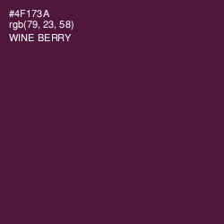 #4F173A - Wine Berry Color Image