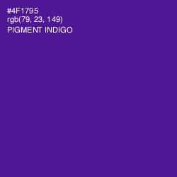 #4F1795 - Pigment Indigo Color Image