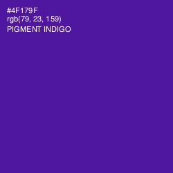 #4F179F - Pigment Indigo Color Image