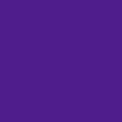 #4F1E8C - Pigment Indigo Color Image