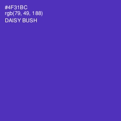 #4F31BC - Daisy Bush Color Image