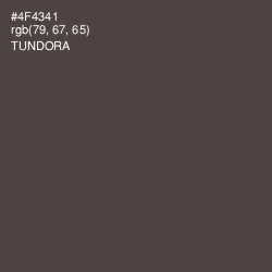 #4F4341 - Tundora Color Image