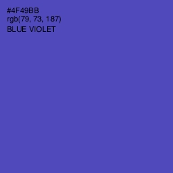 #4F49BB - Blue Violet Color Image