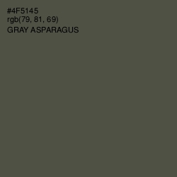 #4F5145 - Gray Asparagus Color Image