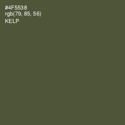 #4F5538 - Kelp Color Image