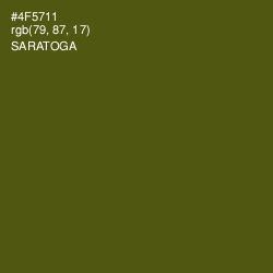 #4F5711 - Saratoga Color Image