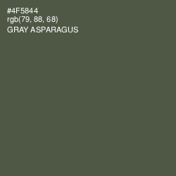 #4F5844 - Gray Asparagus Color Image