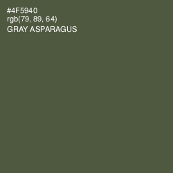 #4F5940 - Gray Asparagus Color Image