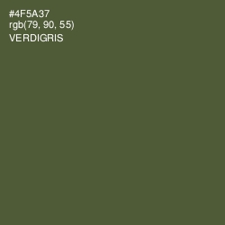 #4F5A37 - Verdigris Color Image