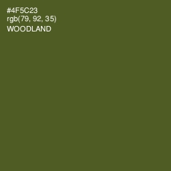 #4F5C23 - Woodland Color Image