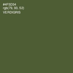 #4F5D34 - Verdigris Color Image