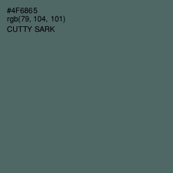 #4F6865 - Cutty Sark Color Image