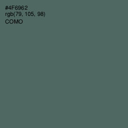 #4F6962 - Como Color Image