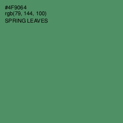 #4F9064 - Spring Leaves Color Image