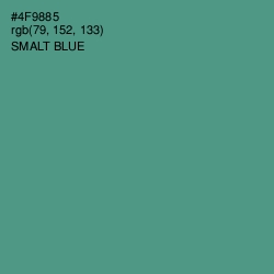 #4F9885 - Smalt Blue Color Image