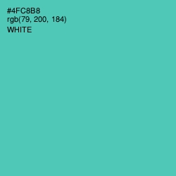 #4FC8B8 - De York Color Image