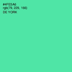 #4FE5A6 - De York Color Image