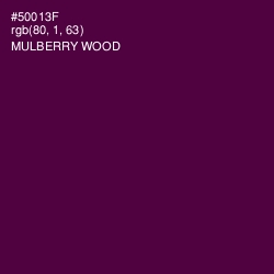 #50013F - Mulberry Wood Color Image