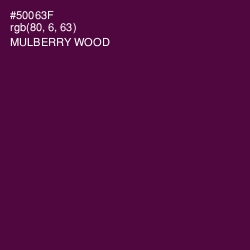 #50063F - Mulberry Wood Color Image