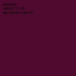 #500A30 - Mulberry Wood Color Image