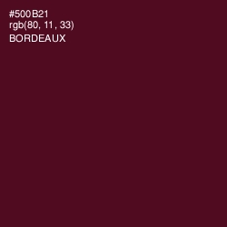 #500B21 - Bordeaux Color Image