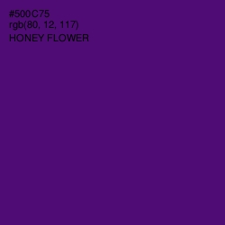 #500C75 - Honey Flower Color Image