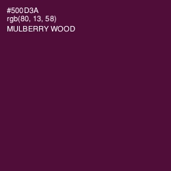 #500D3A - Mulberry Wood Color Image