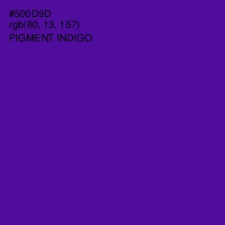 #500D9D - Pigment Indigo Color Image