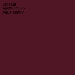 #501625 - Wine Berry Color Image