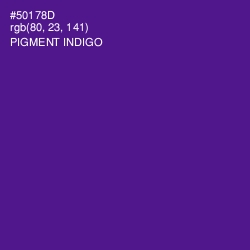 #50178D - Pigment Indigo Color Image