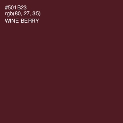 #501B23 - Wine Berry Color Image