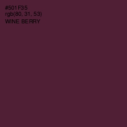 #501F35 - Wine Berry Color Image