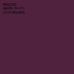 #50223D - Livid Brown Color Image