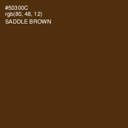 #50300C - Saddle Brown Color Image