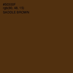 #50300F - Saddle Brown Color Image