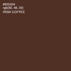 #503024 - Irish Coffee Color Image