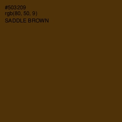 #503209 - Saddle Brown Color Image