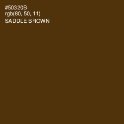 #50320B - Saddle Brown Color Image