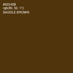 #50340B - Saddle Brown Color Image