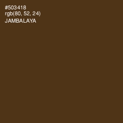 #503418 - Jambalaya Color Image
