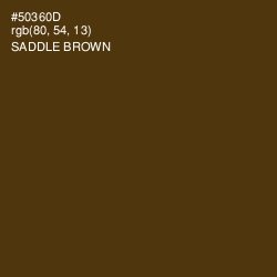 #50360D - Saddle Brown Color Image