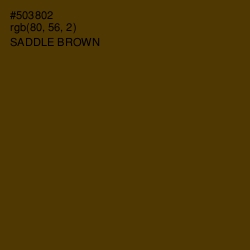 #503802 - Saddle Brown Color Image